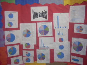 student-community-health-research-survey-display-2008